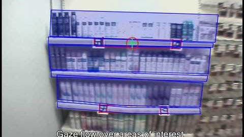 Ergoneers: Glance Behavior - Supermarket Shelf