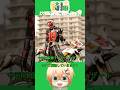 仮面ライダーウィザードフレイムスタイルをゆっくり解説 #仮面ライダー #kamenrider #仮面ライダーウィザード #仮面ライダー解説 #shorts