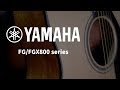 YAMAHA FG800 BL 民謠木吉他 酷炫黑色 product youtube thumbnail