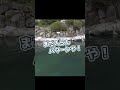 毎回70cmの化物サーモンが釣れる管理釣り場がヤバすぎる！【八丁堀・エリアトラウト】／HartDesign(ハートデザイン)#shorts