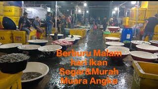 Berburu(lagi) Ikan Segar Nan Murah,Pasar Ikan Muara Angke