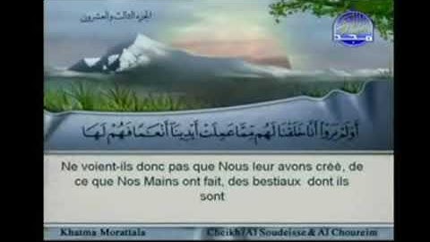 الجزء الثالث والعشرون 23 من القرآن الكريم بصوت الشيخين السديس والشريم