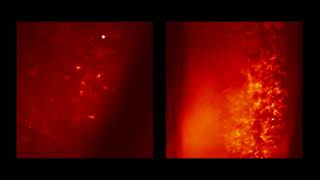 Organotipic Slices GCaMP. Control vs Epileptic seizures