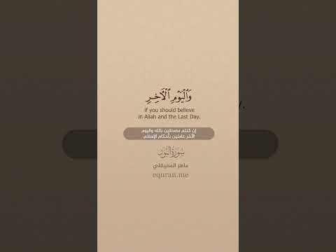 سورة النور 2 3 الشيخ ماهر المعيقلي