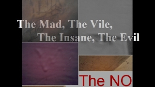 4. The Mad, The Vile, The Insane, The Evil