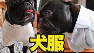 手作り犬服作ってって母に頼んだら試作品が送られてきた