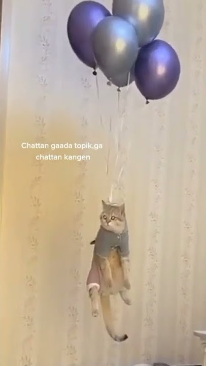 story whatsapp//chatan gak ada topik//gak chat kangen