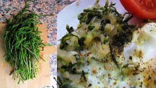 Sarmaşık. Плющ съедобный, турецкая кухня. Sarmaşık. Плющ съедобный, турецкая кухня.