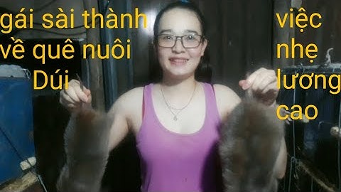 Kĩ thuật ghép đôi dúi thành công 100%