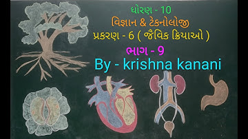 Std 10 science | ch 6 |  ( જૈવિક ક્રિયાઓ ) | part 9 ( શ્વસન અને તેના પ્રકારો )