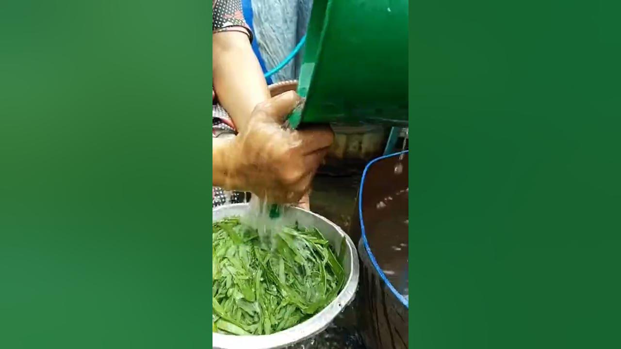 Oseng oseng daun petai cina. Atau daun lamtoro. Nikmaaat | Masakin Kuy
