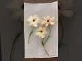 3 Ways to Preserve Flowers