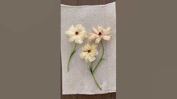 3 Ways to Preserve Flowers