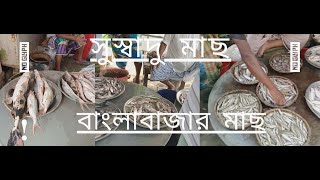Sigma Girl Rematch(Round2) l Big Fish Market | Banglabazar | Living Fish #viral