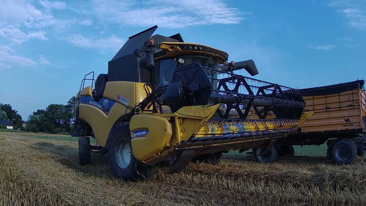 ŻNIWA 2024 w GR ŚCIERSKI / PSZENŻYTO POD KOSĘ ! / NEW HOLLAND CX 5.80 / NEW HOLLAND T6030 / WIELTON
