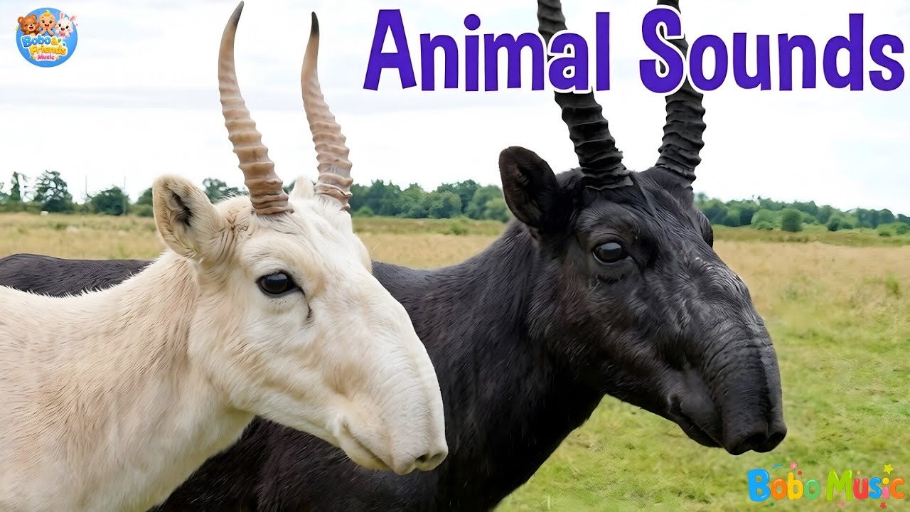 60+ Animal Sounds for Children | Amazing Animals - Cute Animal Moments | Wild And Domestic Animals
