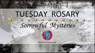Tuesday Rosary • Sorrowful Mysteries of the Rosary 💜 Tuesday, February 17, 2026 VIRTUAL ROSARY
