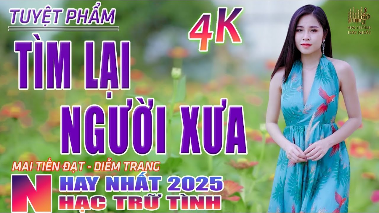 Tìm Lại Người Xưa, Xin Trả Tôi Về🛑 Nhạc Trữ Tình Hay Nhất 2025 - Lk Bolero Nhạc Vàng Xưa Bất Hủ