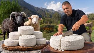 Making Motal Cheese! Sheep’s Milk Aged Inside A Sheepskin screenshot 5