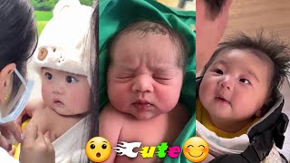 You can't ignore their cuteness | Are you looking for cuteness? 5-Minute Funny Fails @babytube20