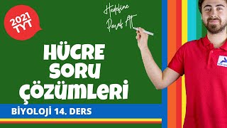 Hücre Soru Çözümleri | 2022 TYT Biyoloji Konu Anlatımları #tytbylj