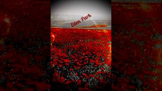 Flora Kerimova Daha Mende Dözüm Yox Elza Ibrahimova