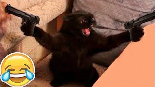 Best Epic Fails Animals 🤣 Funny Cats &amp; Dogs🐱🐶Funniest Cute Animal Videos 😆