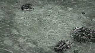 The Mighty B Fans Should Make Commentary On It In The Description