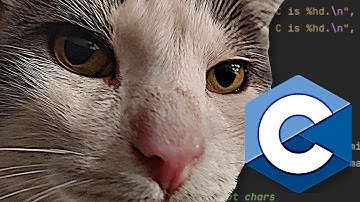 C 101, Print to Console, Variables, Escape Characters, Data Types (28 minutes)