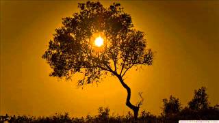 #Reciter Abdulbasit Abdulsamad | #Surah Nuh