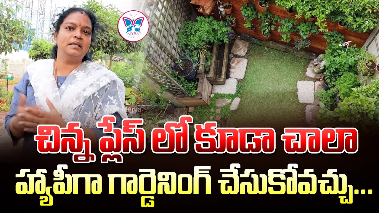 Home Gardening Tips In Telugu Pots and Plants at Vizag Outdoor