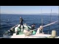 【音量注意】マグロキャスティングゲームでの風景&そらなさゆり