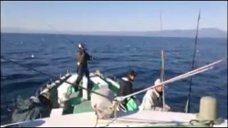 【音量注意】マグロキャスティングゲームでの風景&そらなさゆり