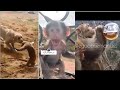 Eyoab Emanuel Funny Videos Part 4 Eyoab Emanuel Funny Videos Part 4