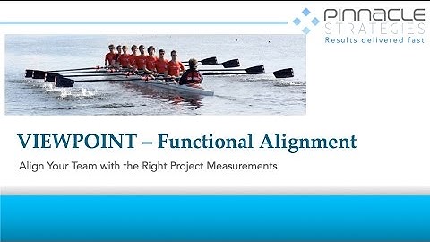 ViewPoint Functional Alignment