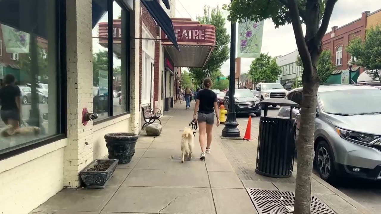 Franklin TN Dog Training with Suburban K9! YouTube