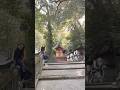 My Ancestral Shinto Family Shrine Japan Kyushu Travel 