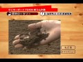 ホンダ耕うん機　ラッキーボーイ　FU400紹介動画