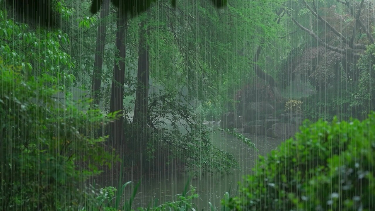 The beautiful little river is raining(402) , sleep, relax, meditate, ASMR, Real Shot