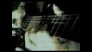 dd crow plays Flight Of Bumble Bee in metal version