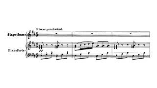 An die Laute, D.905 - F. Schubert (piano / KARAOKE, Accompaniment, Mr, 반주)