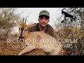 Safari en Sudafrica🇿🇦Rececho de Duiker @CanalTV Sierra Grande Hunting Safaris . Duiker Hunting.