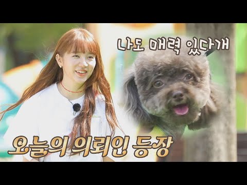 오늘의 새 친구 등장! 뉴페이스 윤은혜(Yoon Eun-hye)♥기쁨이«٩(*´∀`*)۶» 펫키지(petkage) 2회 | JTBC 210902 방송