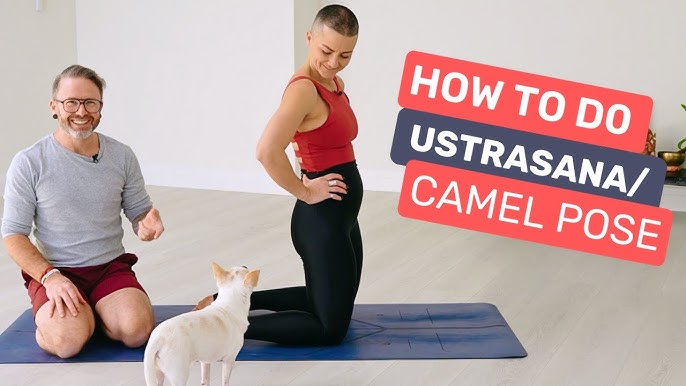 Peak Pose: Ustrasana (Camel Pose) - Hugger Mugger