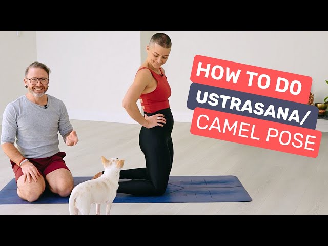 Foundations Of Yoga - Camel Pose - Ustrasana - YouTube