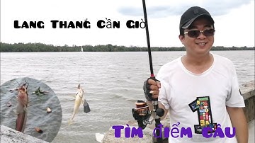Tìm điểm câu cá tại cần giờ, dính nhiều loại cá. cá út /cá ngát /cá chốt và cá nóc