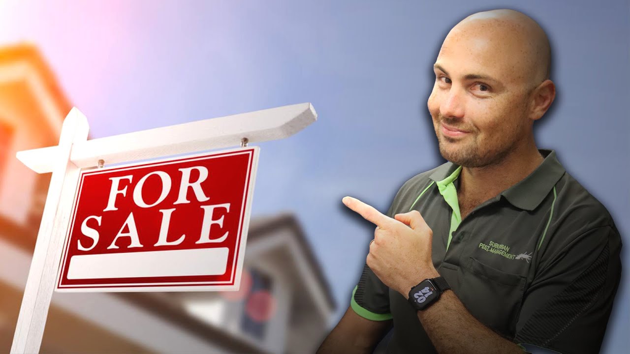 Expert EndofLease Pest Control Services Suburban Pest Management