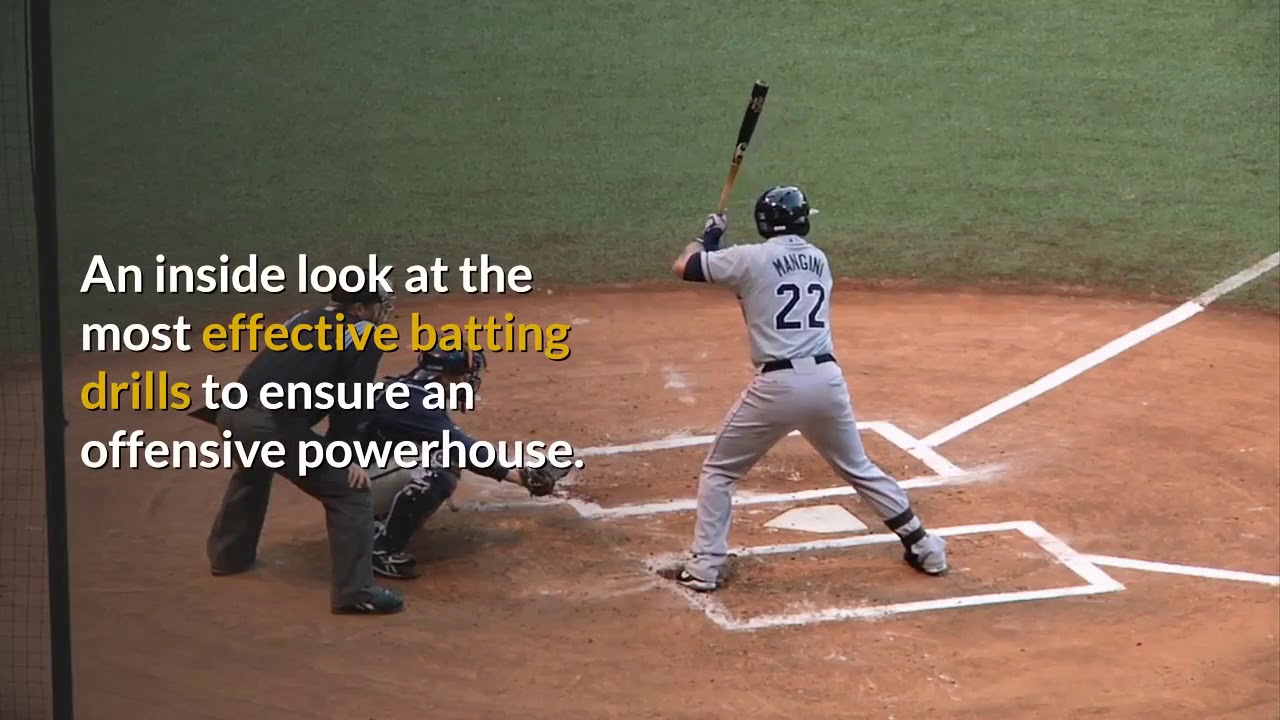 Travel Baseball Coach Ebook + Audio + Video