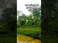 কি সুন্দৰ ...?🌺❤.............minivlog  #harekfriendkaminahotahai  #vlog  #vairalvideo  #funny