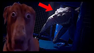 THIS BACKROOMS GAME'S GRAPHICS ARE CRAZY!!! | Subliminal DEMO